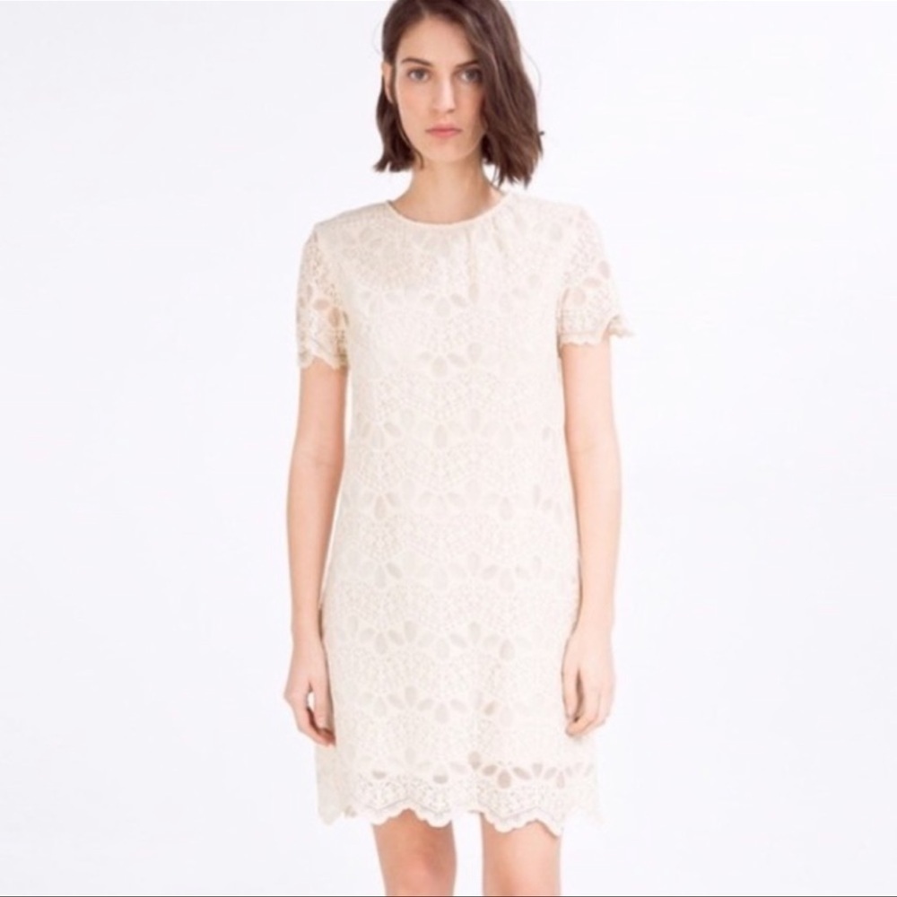 ZARA Womens Cream Lace Short Sleeve Shift Dress